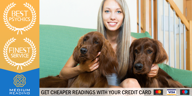 The Ultimate Spirit Guide Experience